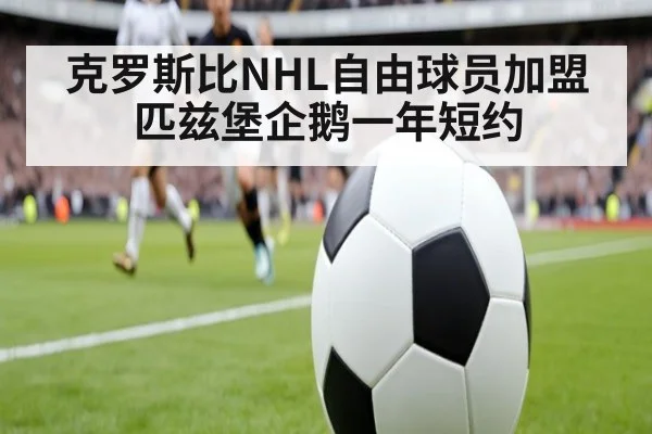 克罗斯比NHL自由球员加盟匹兹堡企鹅一年短约