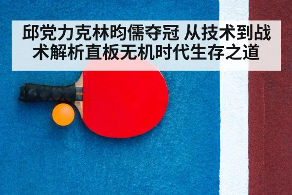 邱党力克林昀儒夺冠 从技术到战术解析直板无机时代生存之道