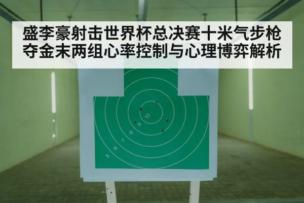 air rifle shooting competition target